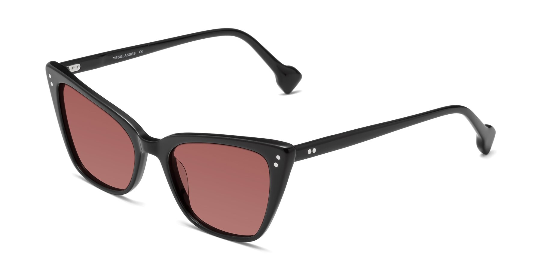 Angle of 1491 in Black with Garnet Tinted Lenses