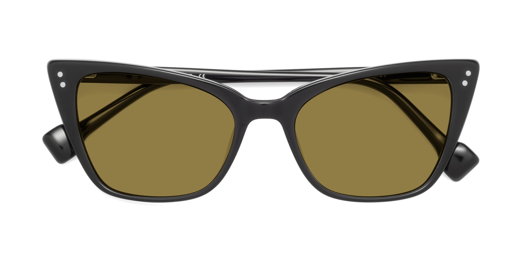 Folded Front of 1491 in Black with Brown Polarized Lenses
