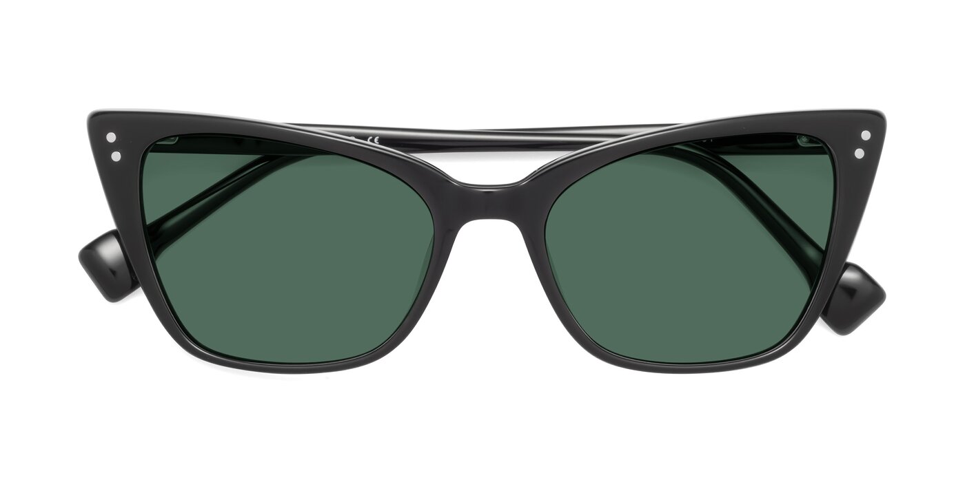 1491 - Black Polarized Sunglasses