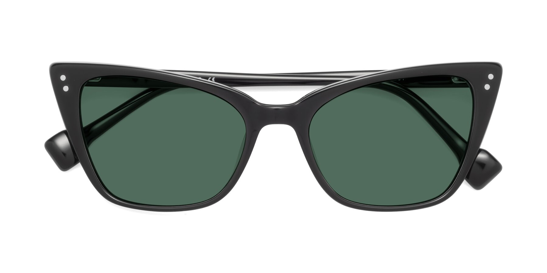Folded Front of 1491 in Black with Green Polarized Lenses