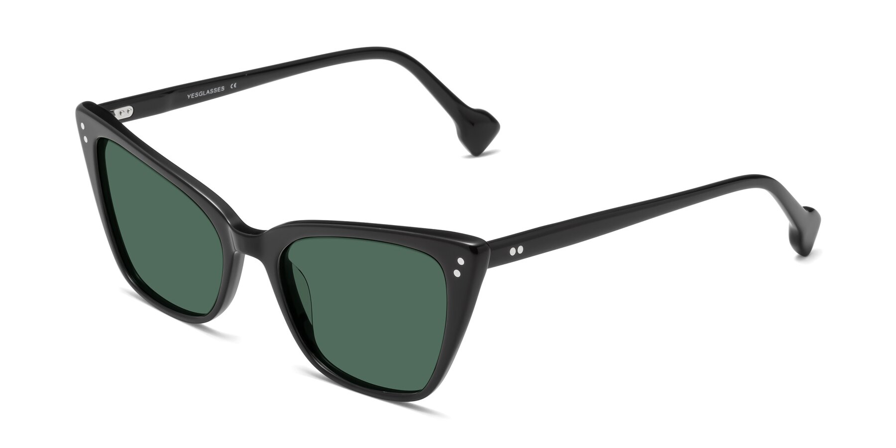 Angle of 1491 in Black with Green Polarized Lenses