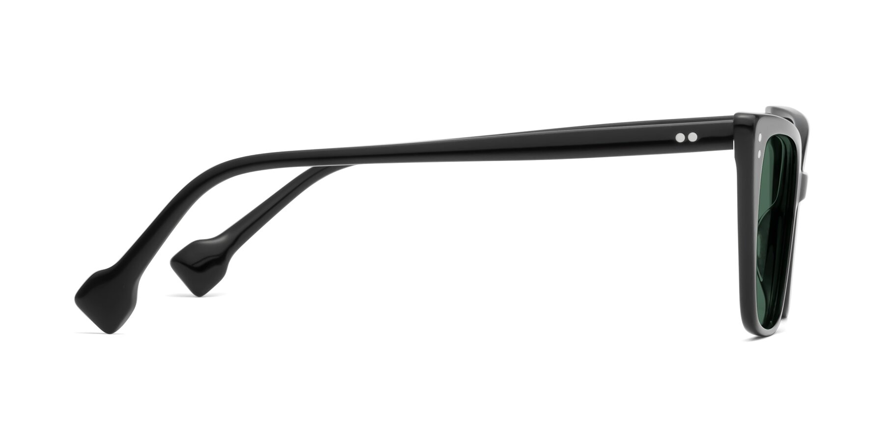 Side of 1491 in Black with Green Polarized Lenses