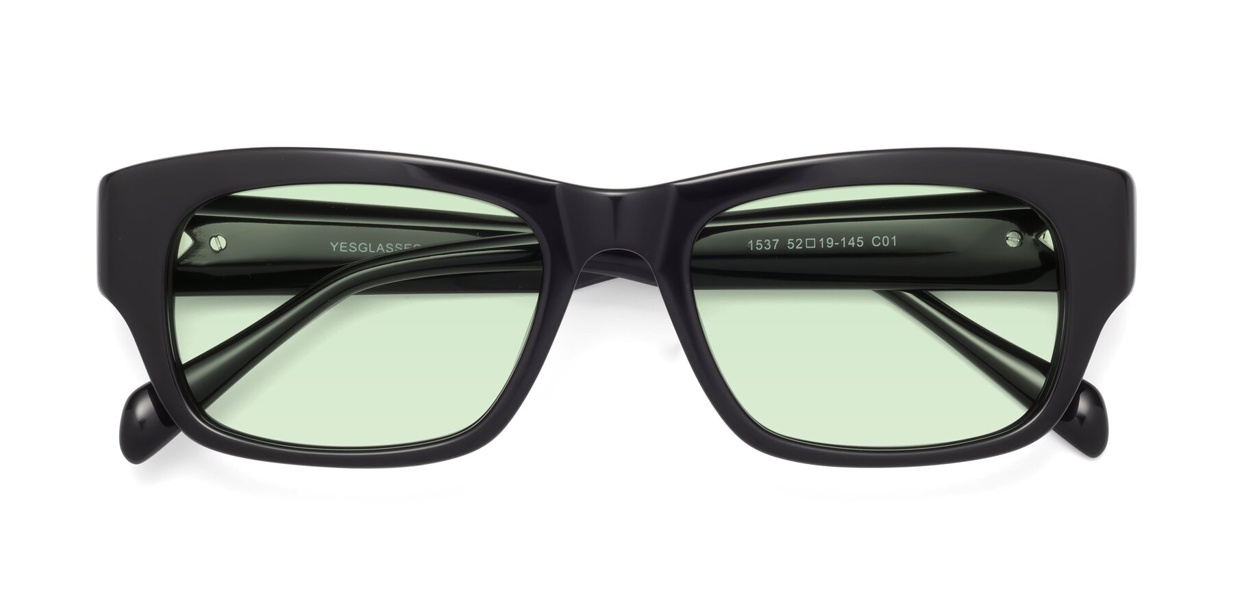 Folded Front of 1537 in Black with Light Green Tinted Lenses