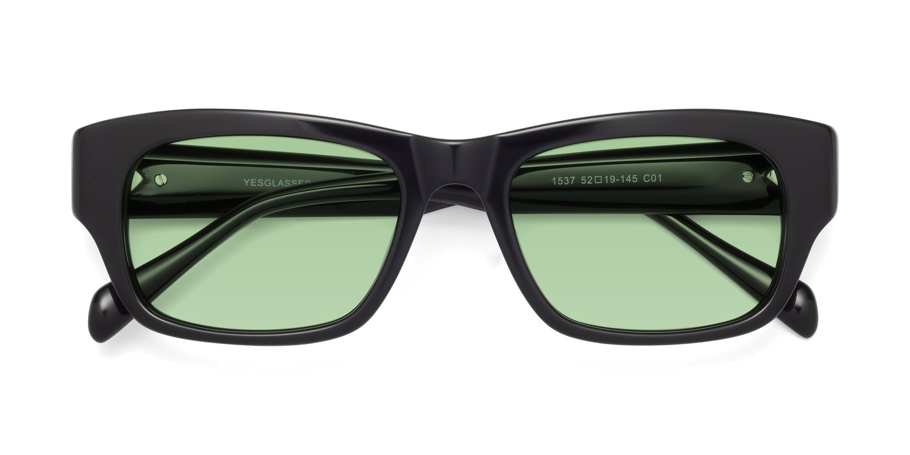 Folded Front of 1537 in Black with Medium Green Tinted Lenses
