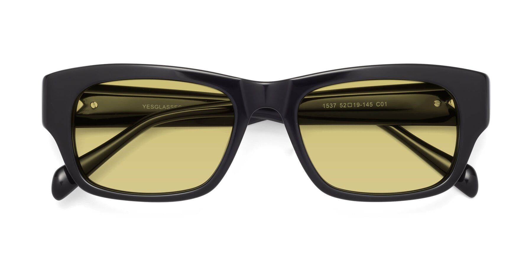Folded Front of 1537 in Black with Medium Champagne Tinted Lenses