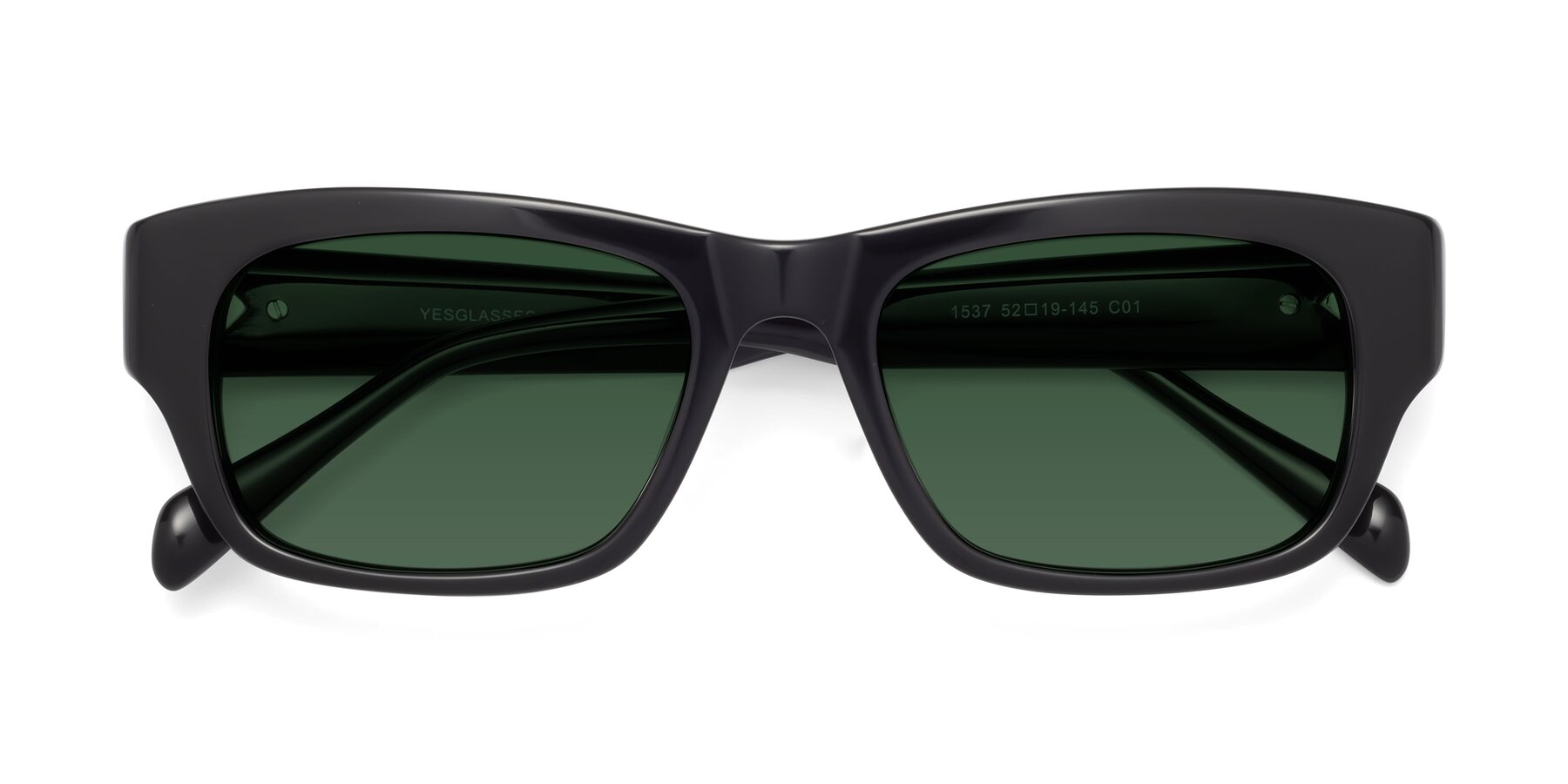 Folded Front of 1537 in Black with Green Tinted Lenses