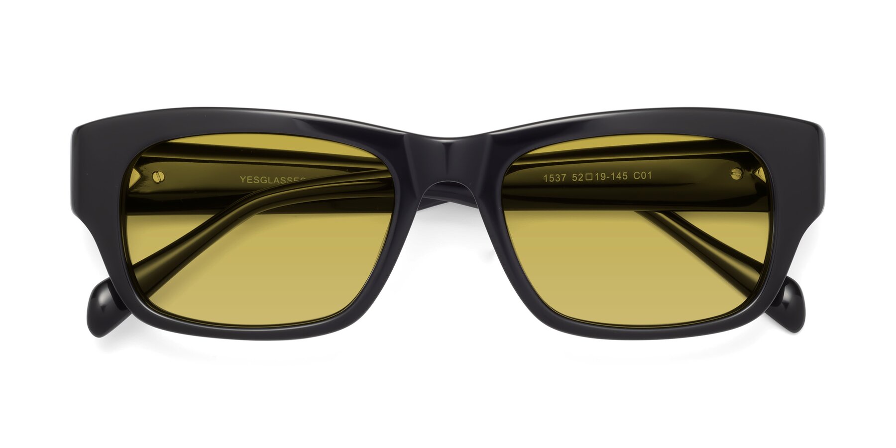 Folded Front of 1537 in Black with Champagne Tinted Lenses