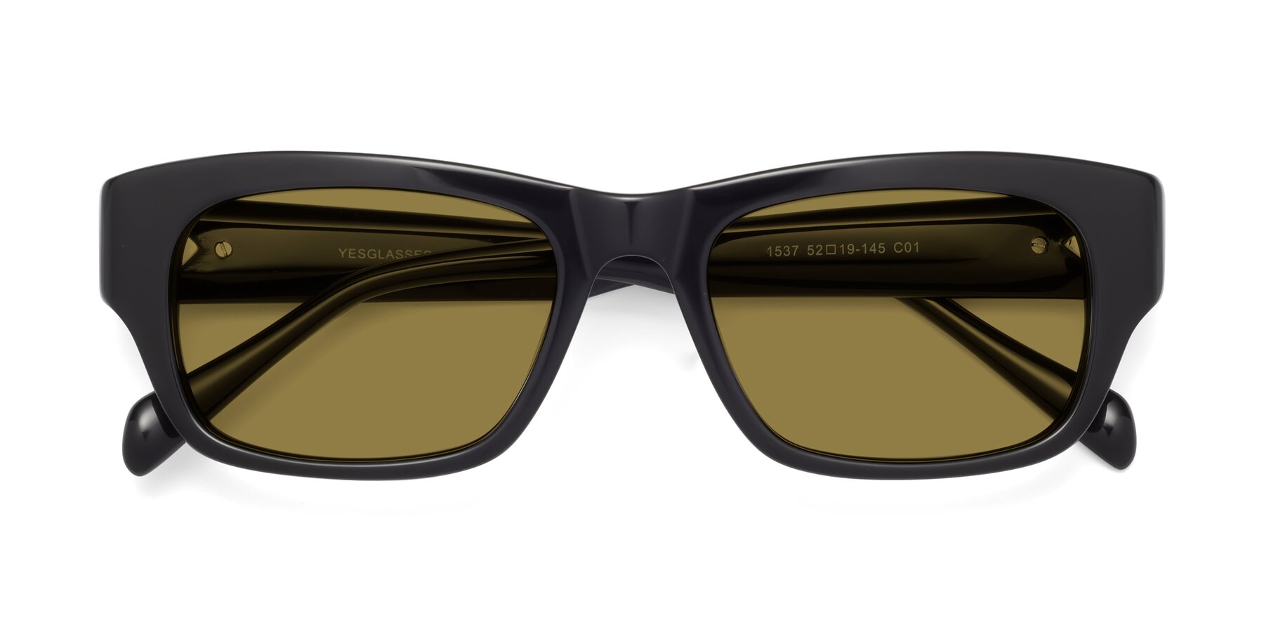 Folded Front of 1537 in Black with Brown Polarized Lenses