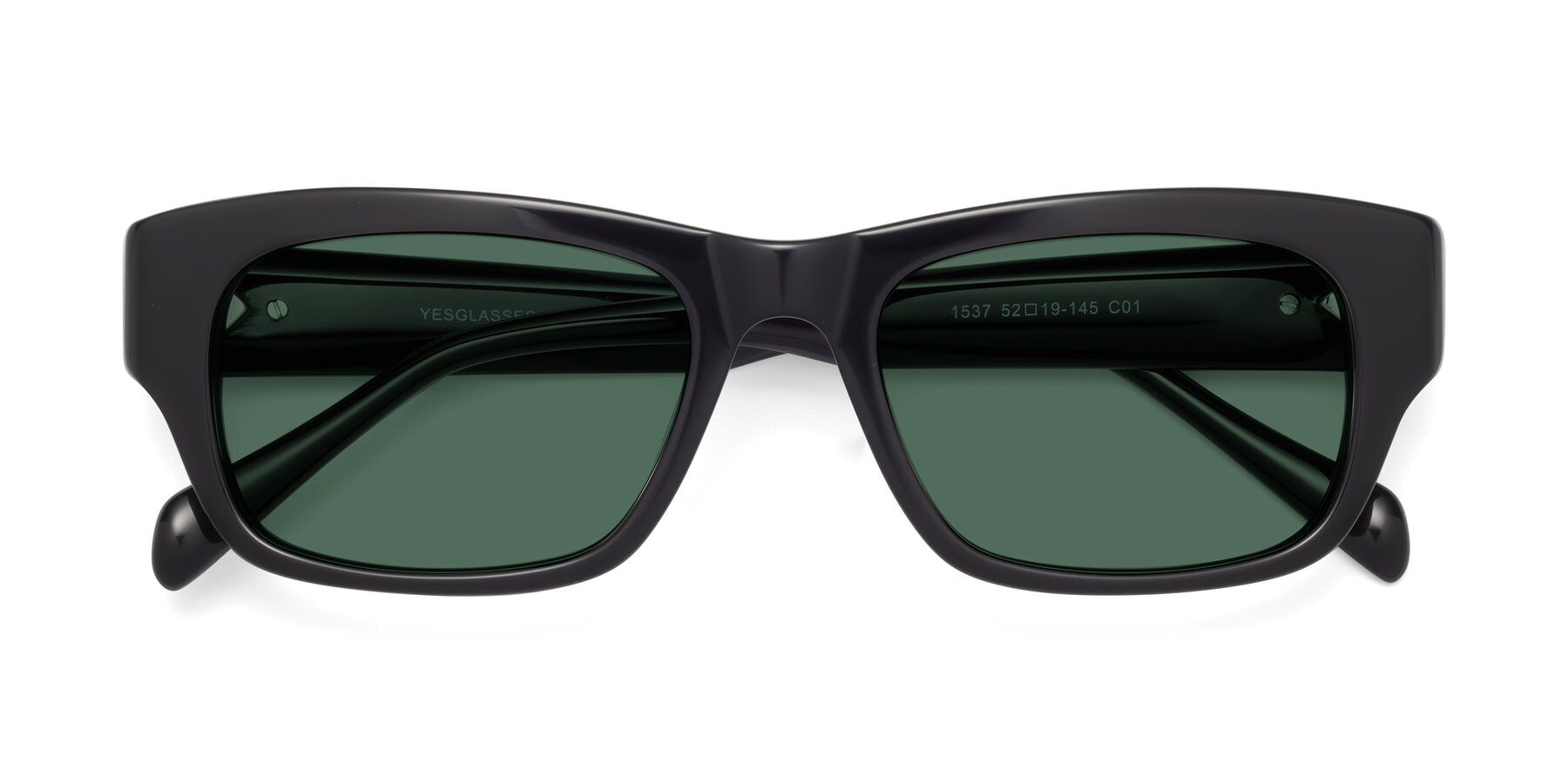 Folded Front of 1537 in Black with Green Polarized Lenses