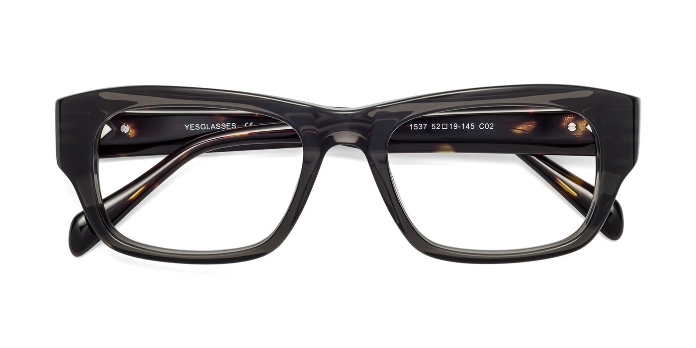 1537 - Gray / Tortoise Eyeglasses