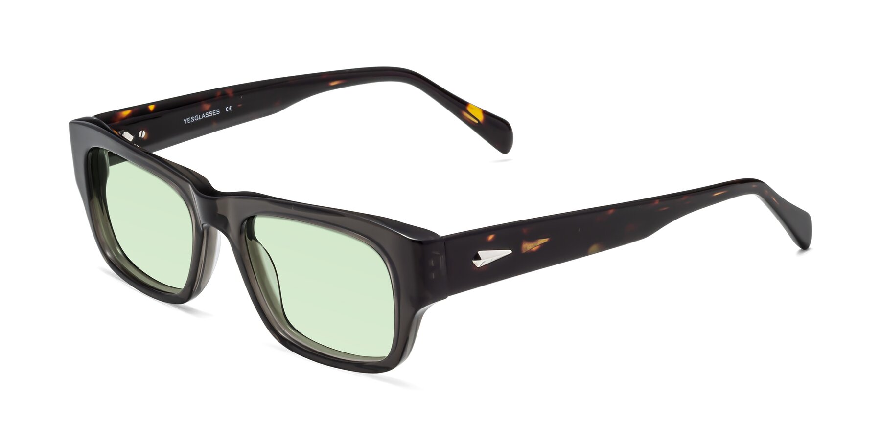 Angle of 1537 in Gray-Tortoise with Light Green Tinted Lenses