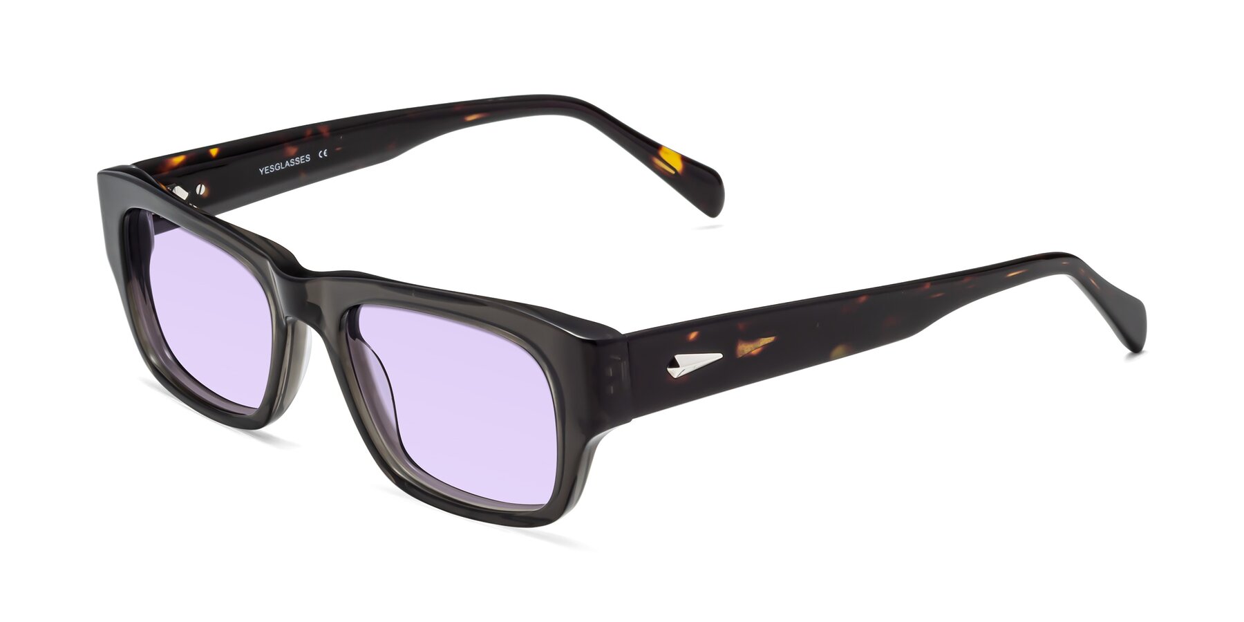 Angle of 1537 in Gray-Tortoise with Light Purple Tinted Lenses