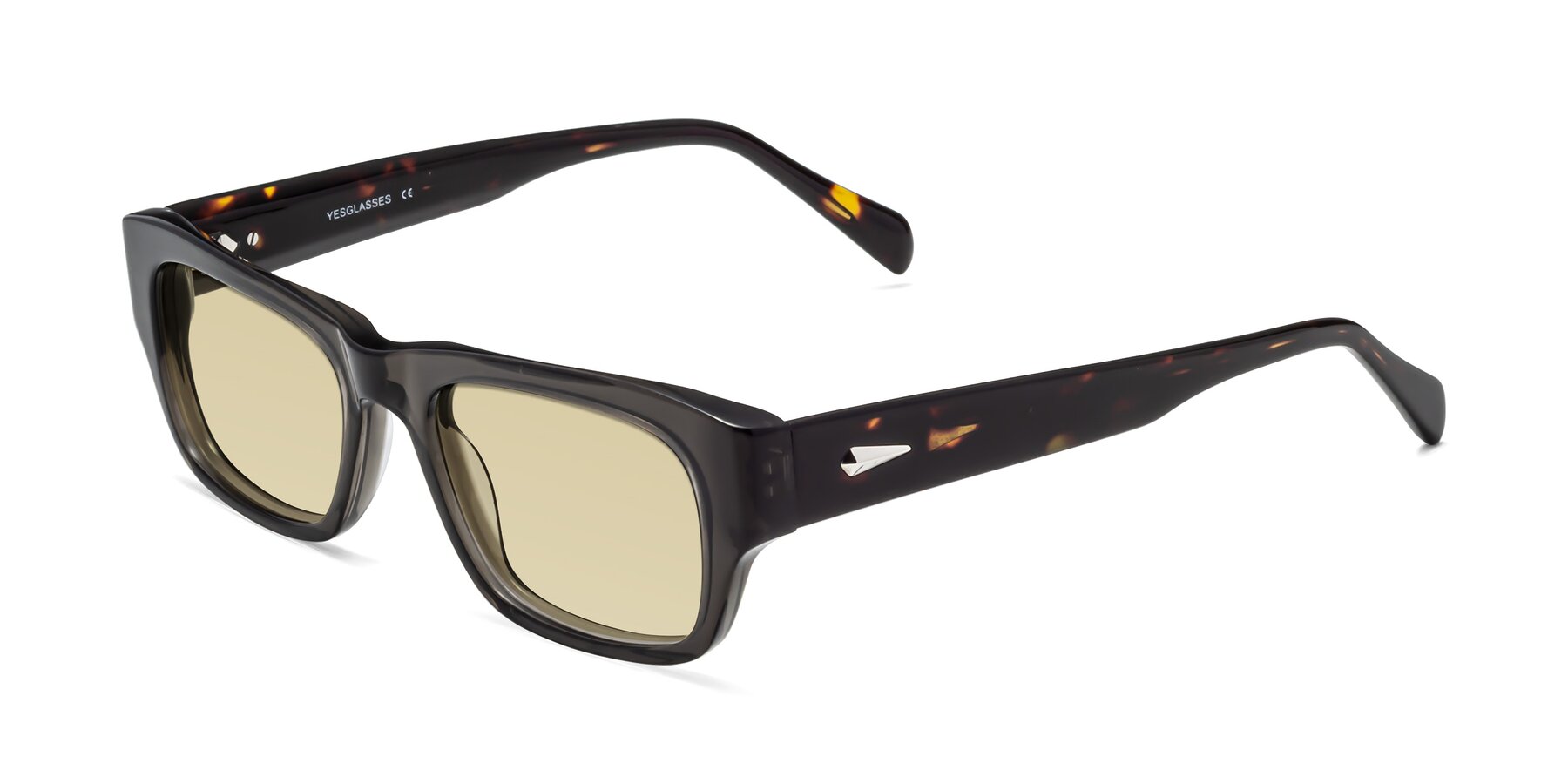 Angle of 1537 in Gray-Tortoise with Light Champagne Tinted Lenses