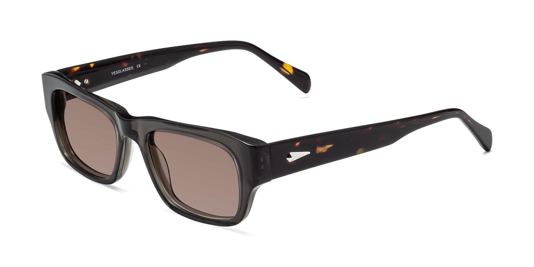 Angle of 1537 in Gray-Tortoise with Medium Brown Tinted Lenses