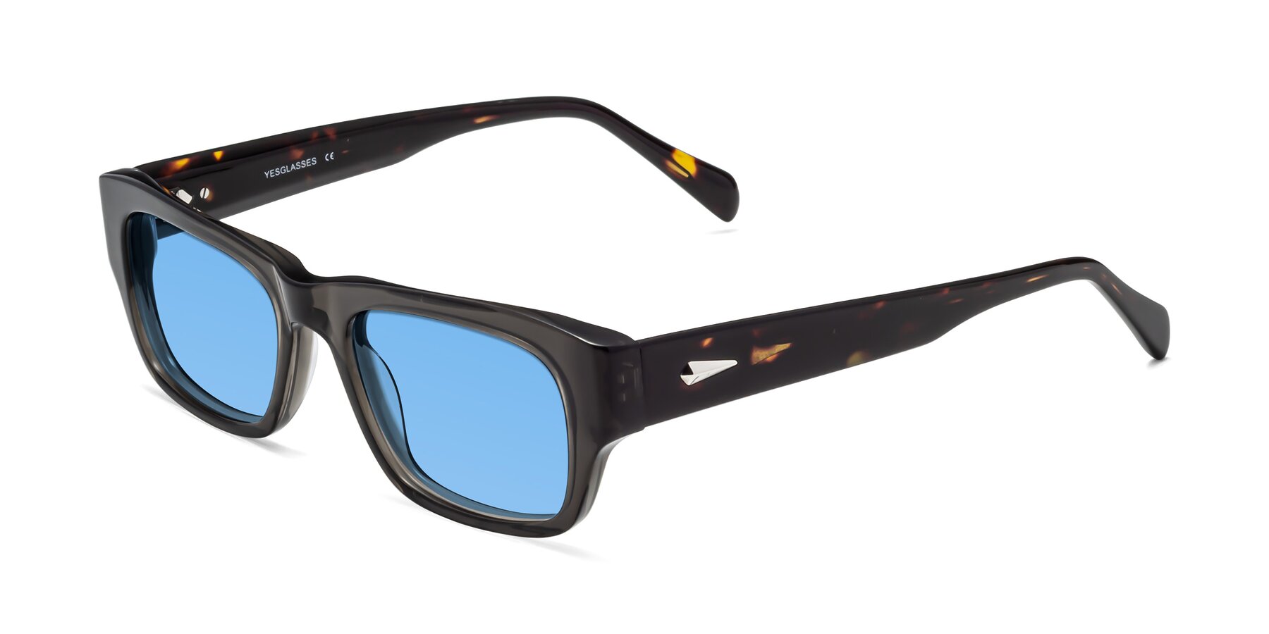 Angle of 1537 in Gray-Tortoise with Medium Blue Tinted Lenses