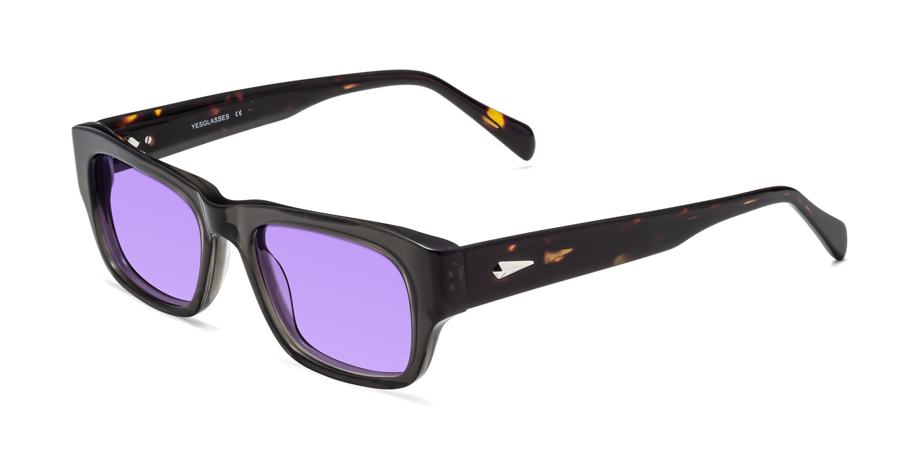 Angle of 1537 in Gray-Tortoise with Medium Purple Tinted Lenses