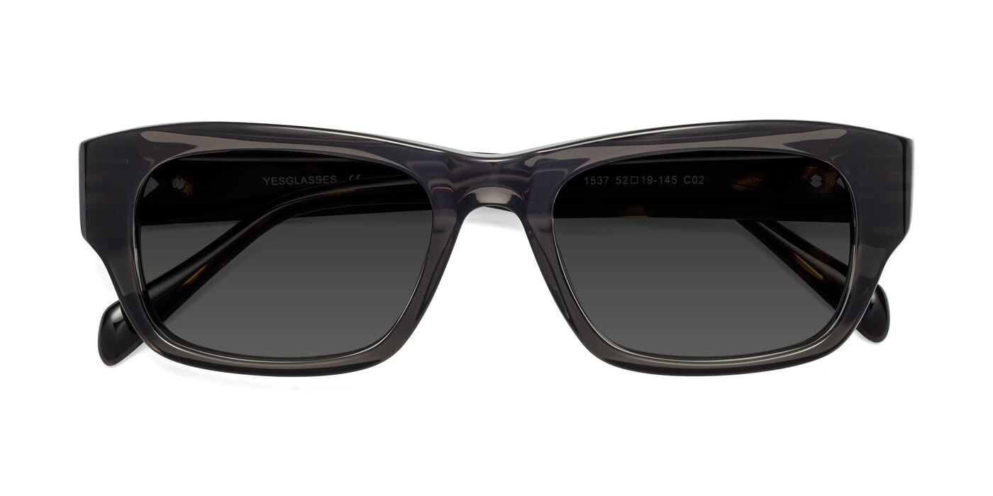 1537 - Gray / Tortoise Tinted Sunglasses