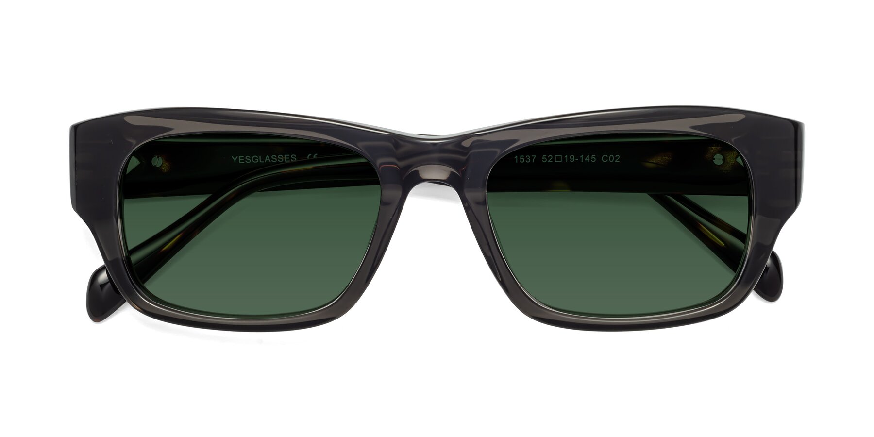 Folded Front of 1537 in Gray-Tortoise with Green Tinted Lenses