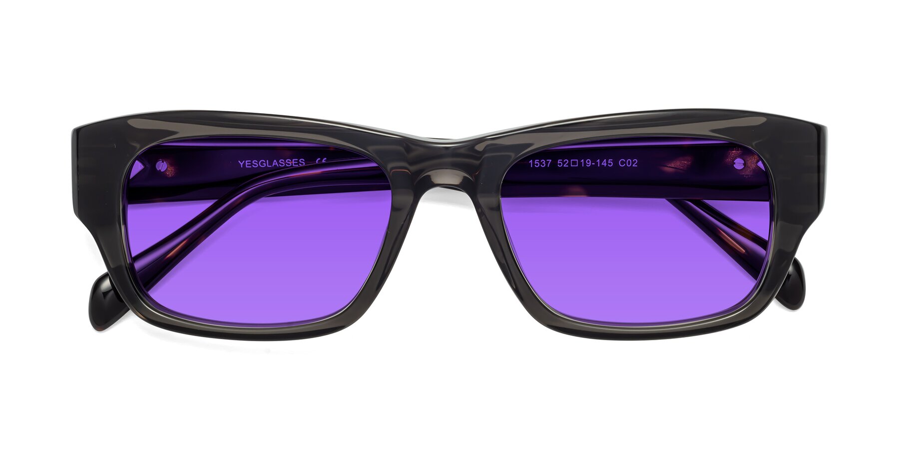 Folded Front of 1537 in Gray-Tortoise with Purple Tinted Lenses