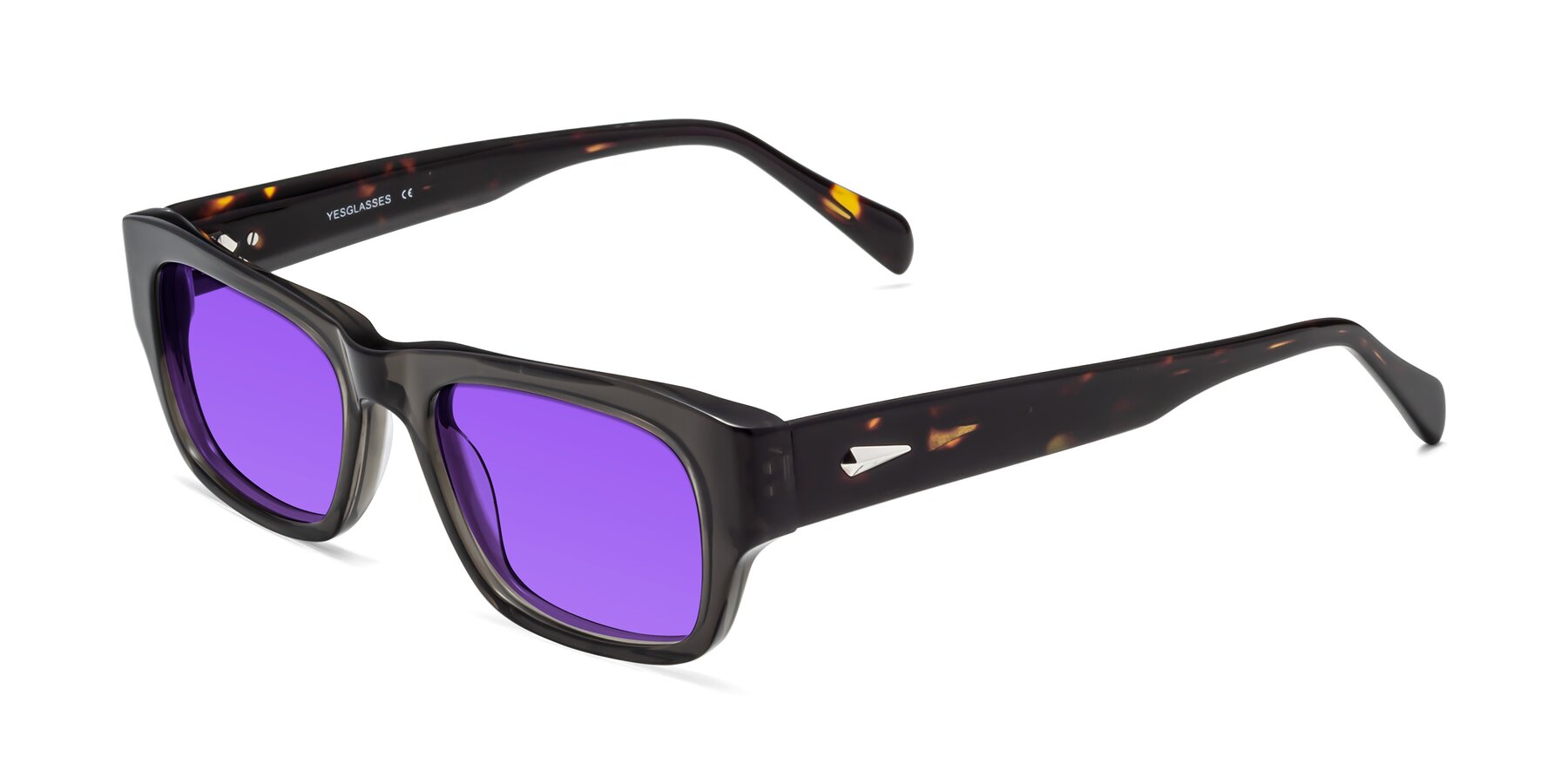 Angle of 1537 in Gray-Tortoise with Purple Tinted Lenses