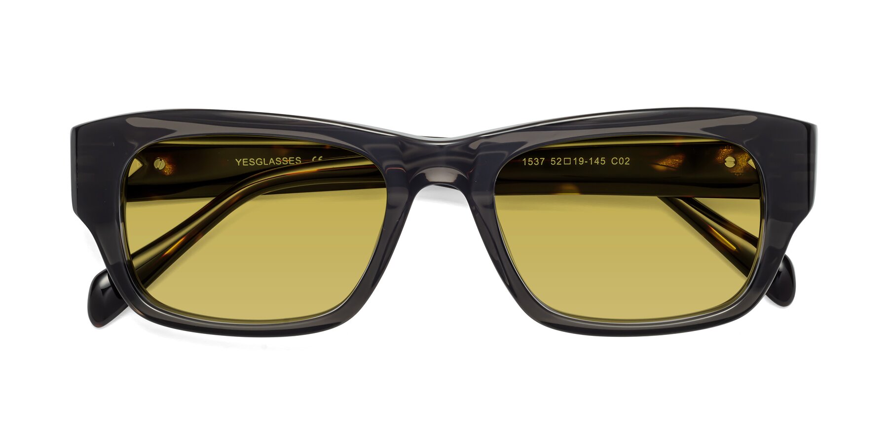 Folded Front of 1537 in Gray-Tortoise with Champagne Tinted Lenses