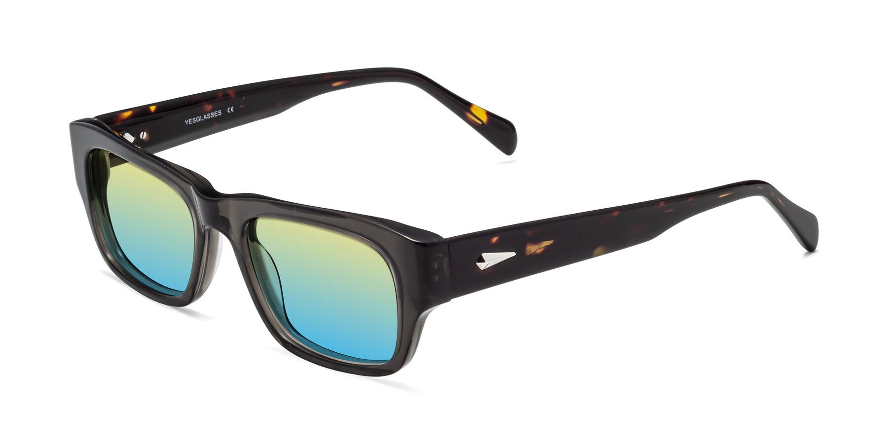 Angle of 1537 in Gray-Tortoise with Yellow / Blue Gradient Lenses