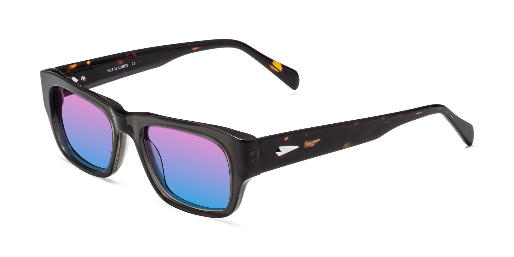 Angle of 1537 in Gray-Tortoise with Pink / Blue Gradient Lenses