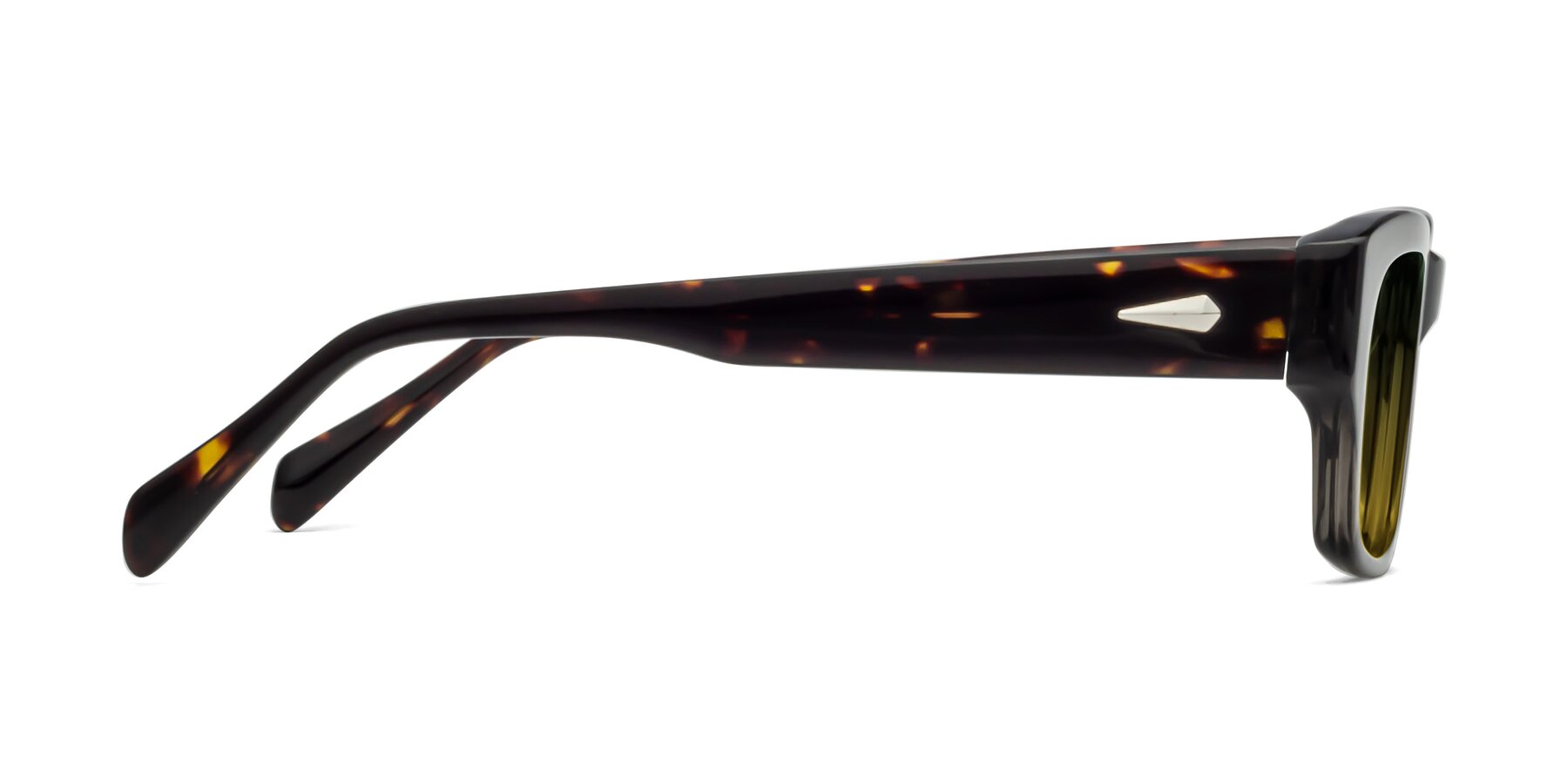 Side of 1537 in Gray-Tortoise with Green / Yellow Gradient Lenses