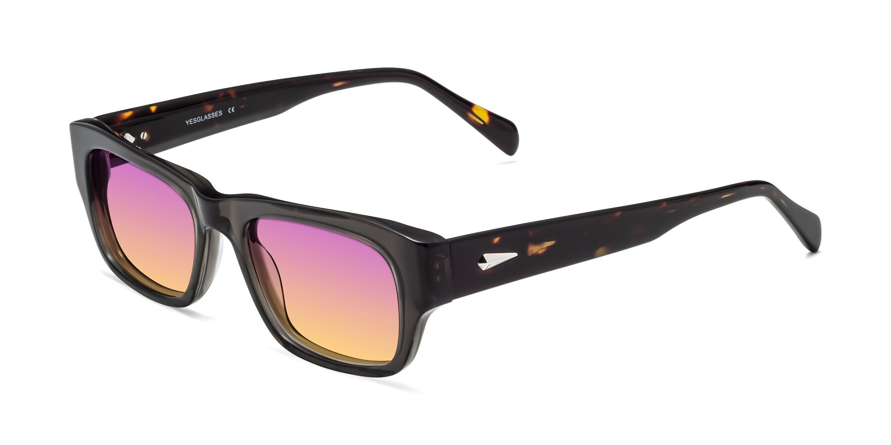 Angle of 1537 in Gray-Tortoise with Purple / Yellow Gradient Lenses