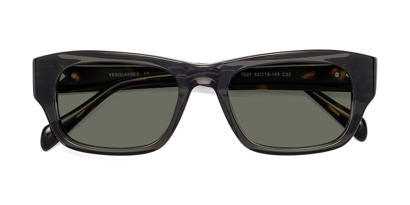 1537 - Gray / Tortoise Polarized Sunglasses