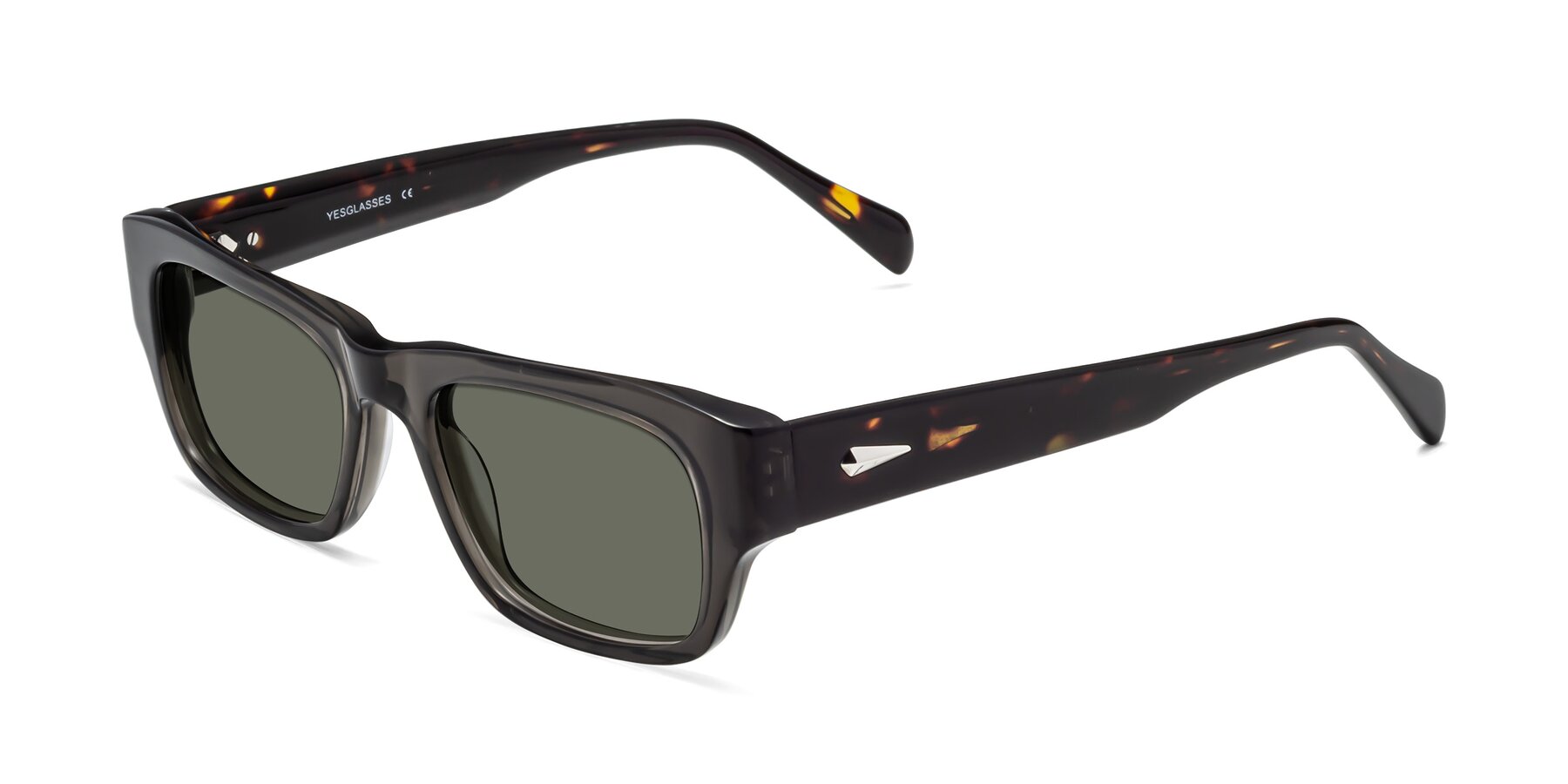 Angle of 1537 in Gray-Tortoise with Gray Polarized Lenses
