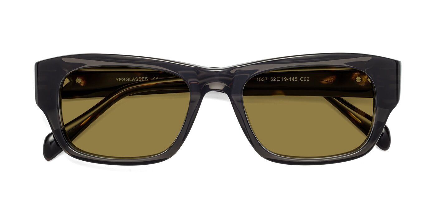 1537 - Gray / Tortoise Polarized Sunglasses