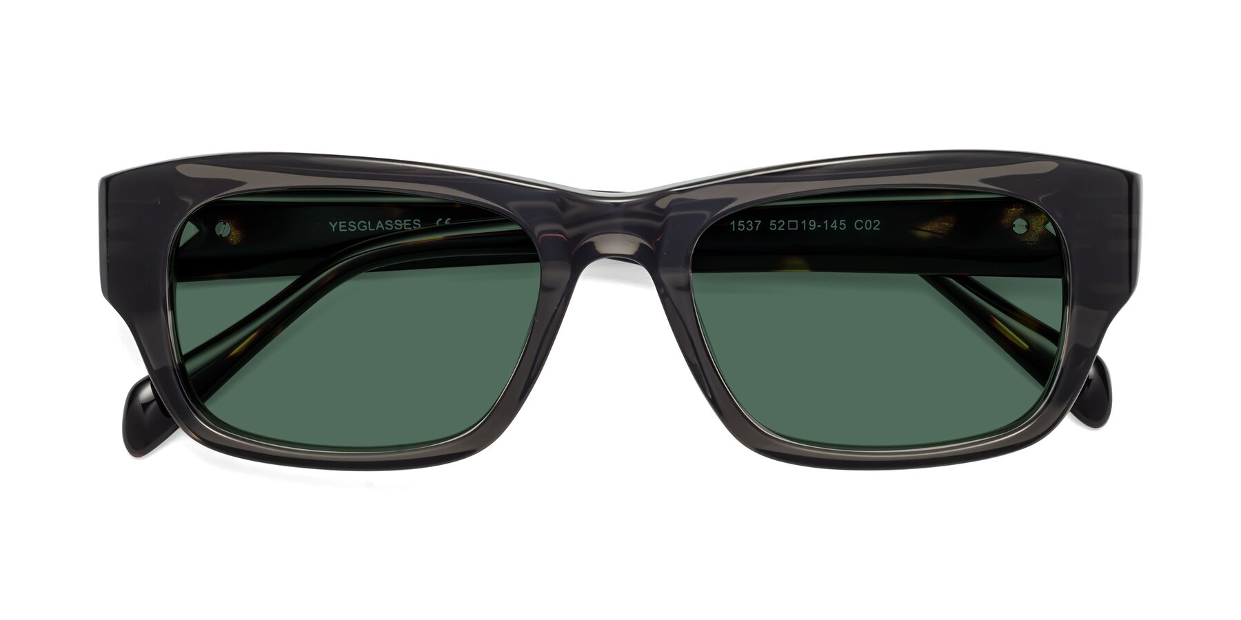 Folded Front of 1537 in Gray-Tortoise with Green Polarized Lenses