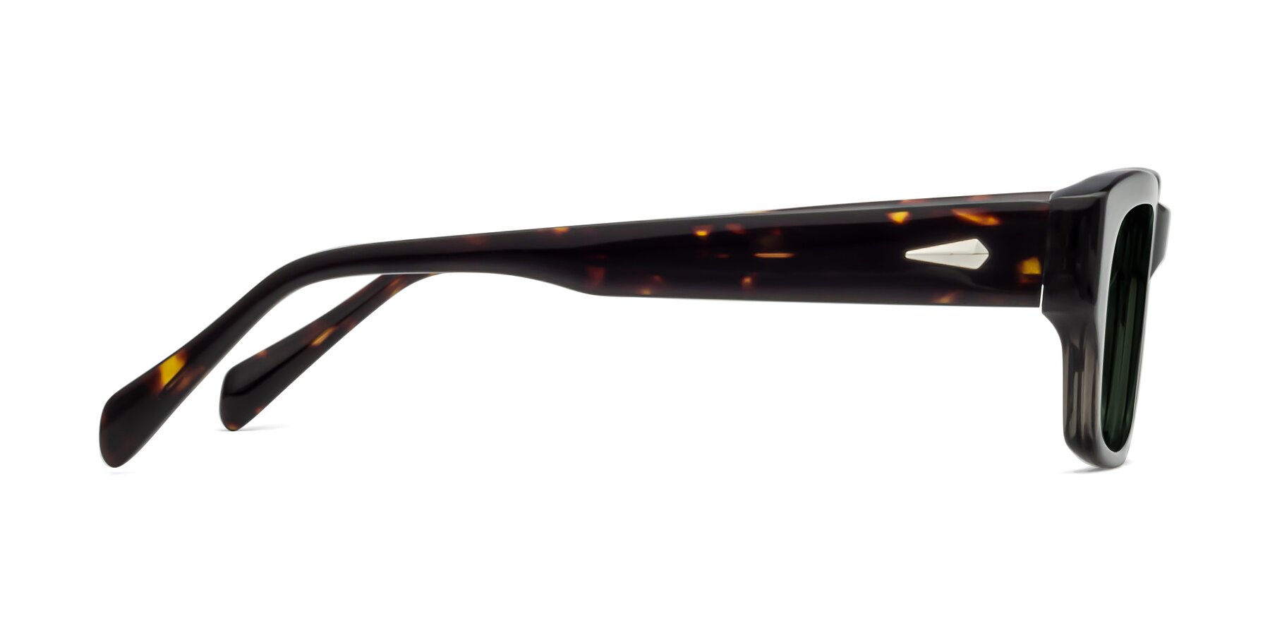 Side of 1537 in Gray-Tortoise with Green Polarized Lenses