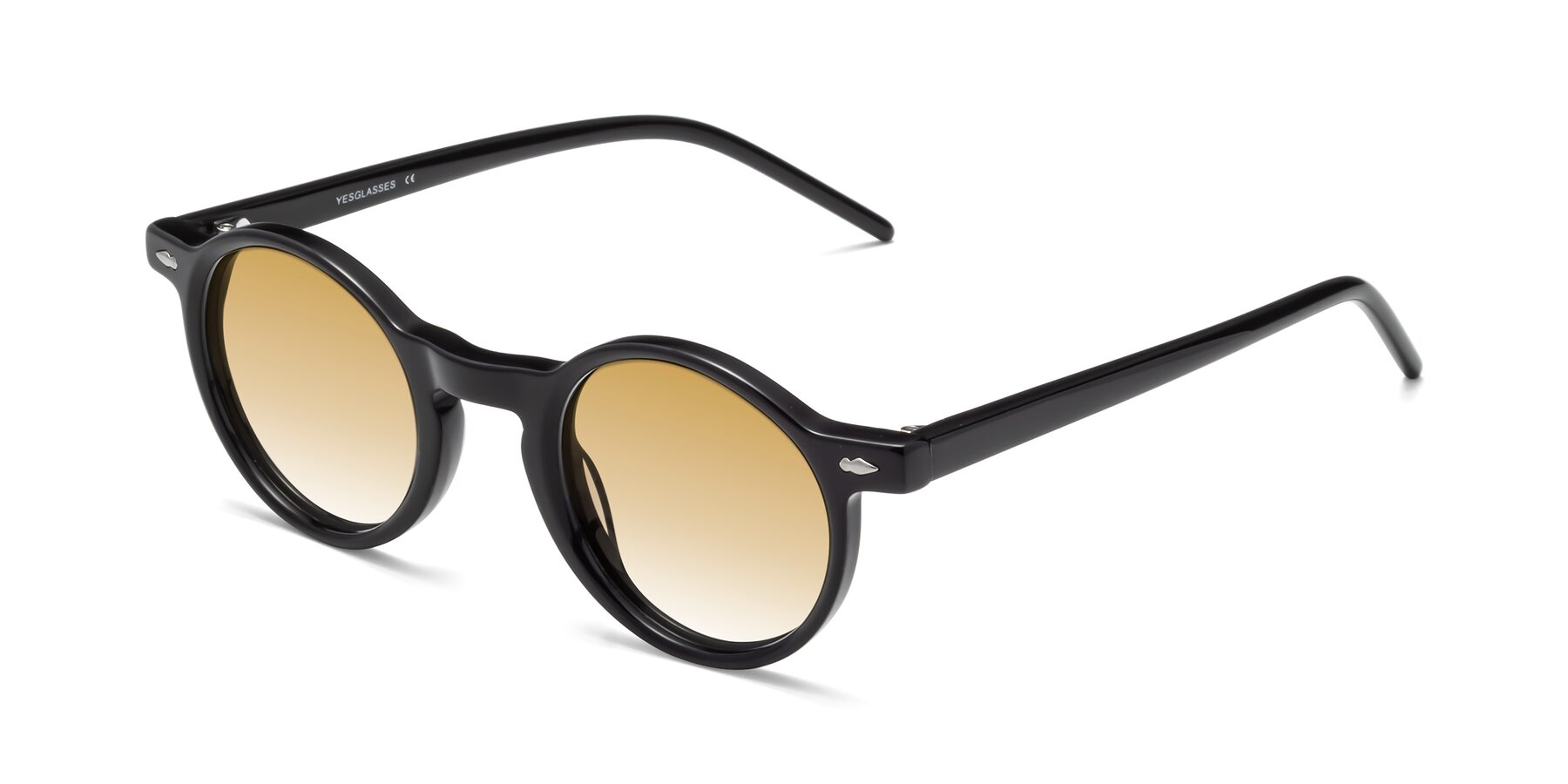 Angle of 1542 in Black with Champagne Gradient Lenses