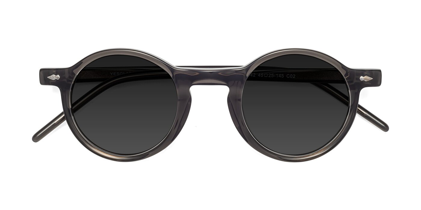 1542 - Gray Polarized Sunglasses