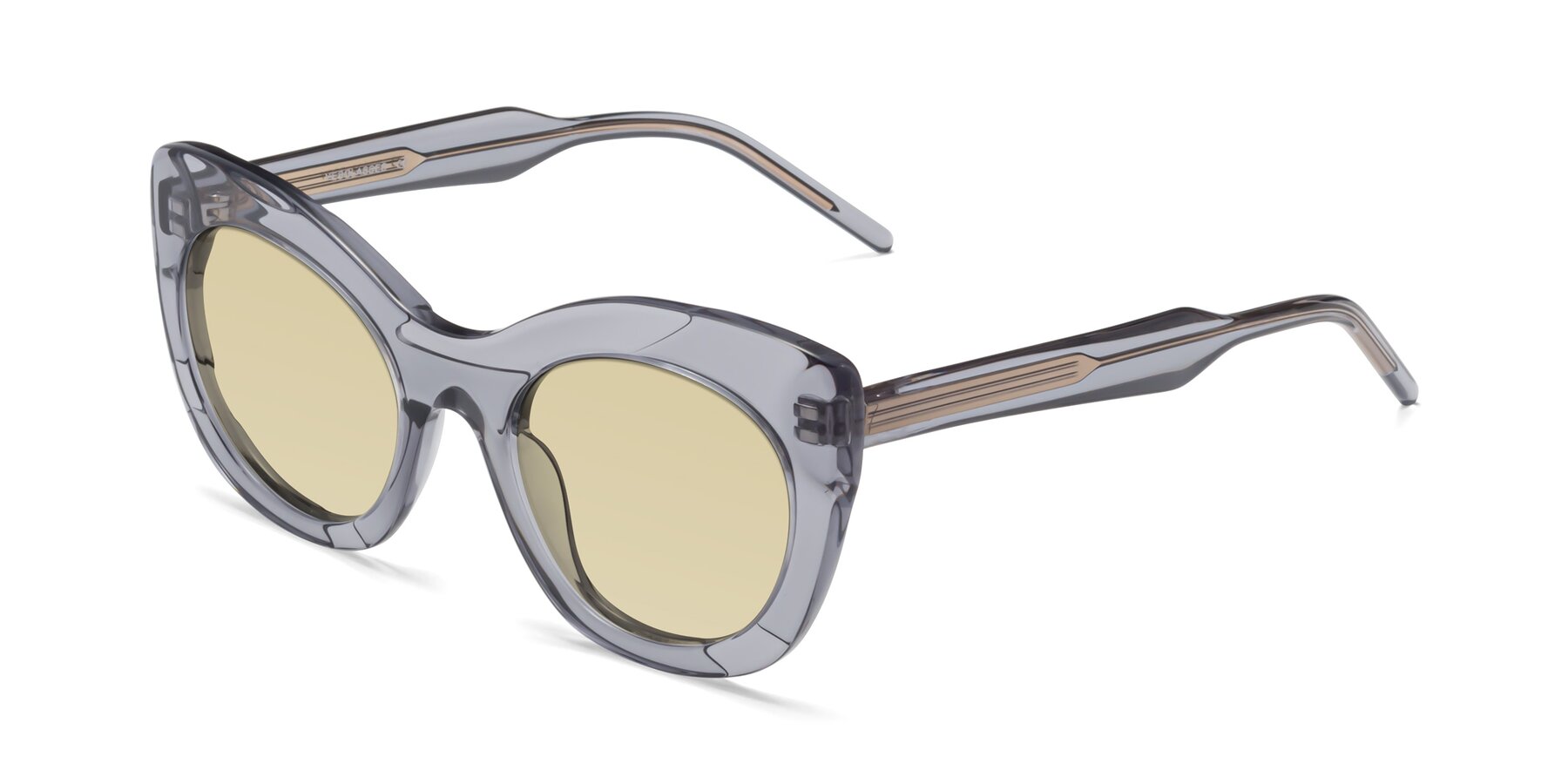 Angle of 1547 in Gray with Light Champagne Tinted Lenses