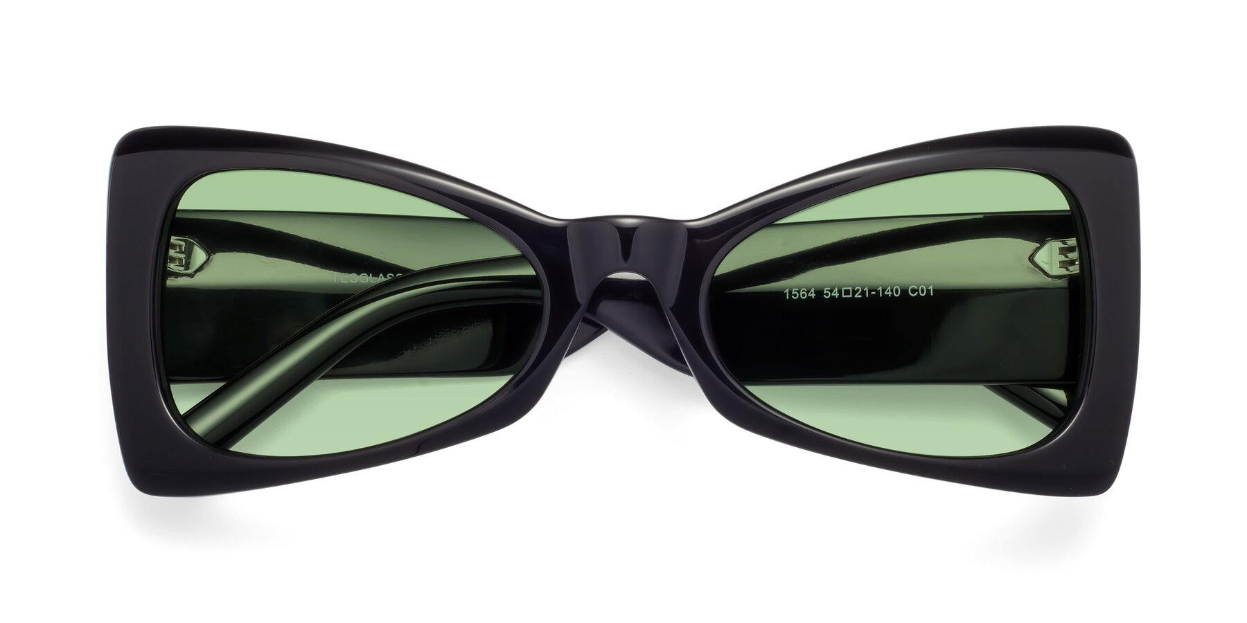 Folded Front of 1564 in Black with Medium Green Tinted Lenses