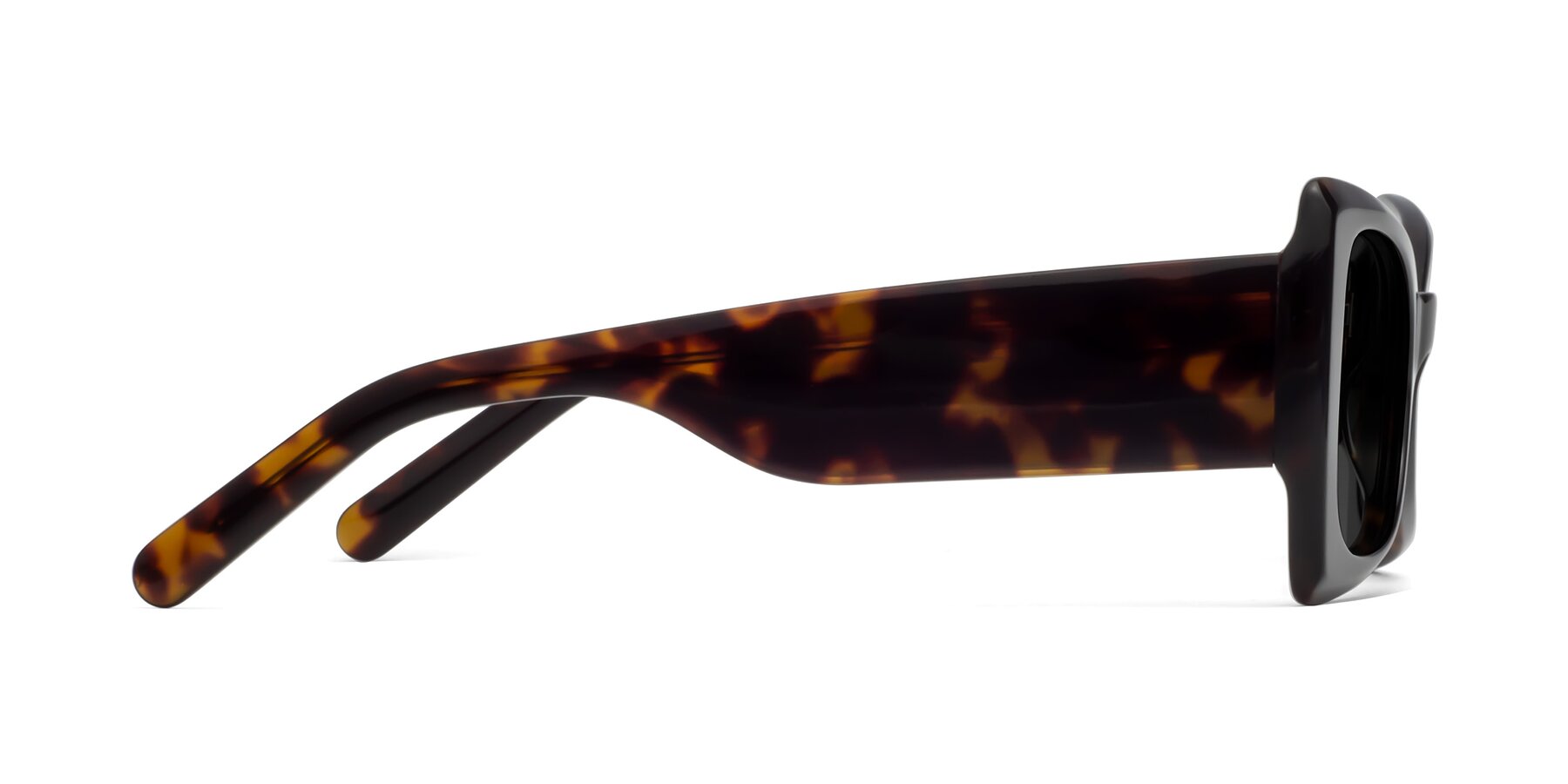 Side of 1564 in Black-Tortoise with Gray Polarized TAC Lenses