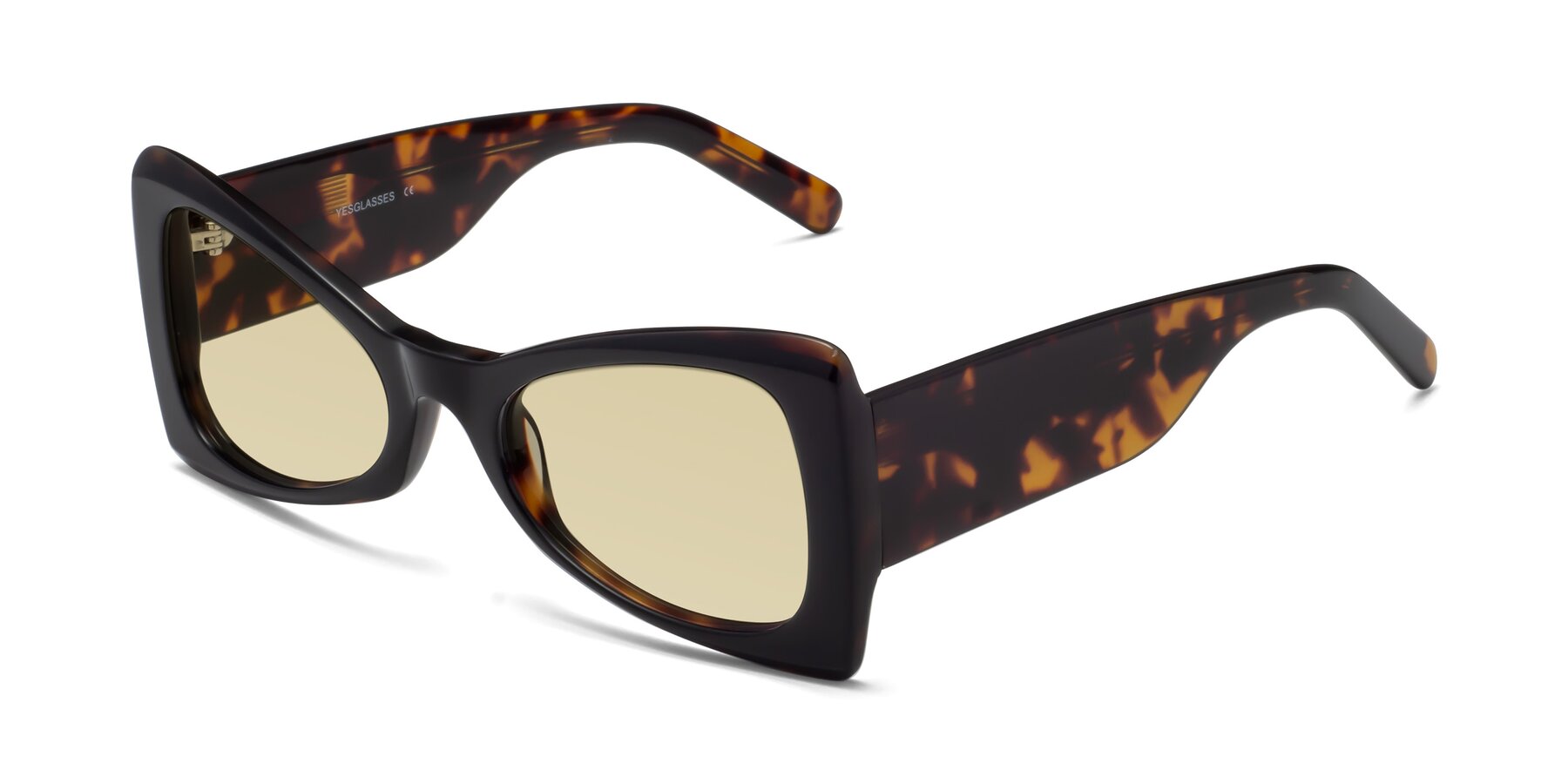 Angle of 1564 in Black-Tortoise with Light Champagne Tinted Lenses