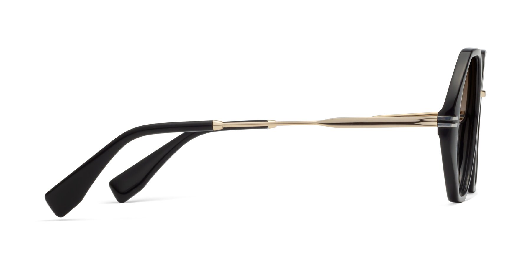 Side of 1573 in Black with Brown Gradient Lenses
