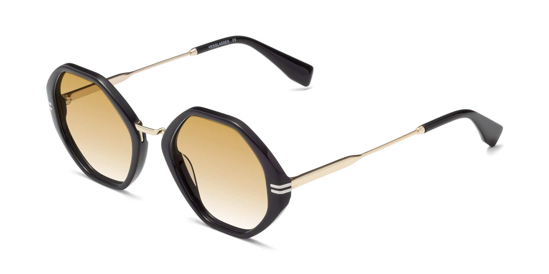 Angle of 1573 in Black with Champagne Gradient Lenses