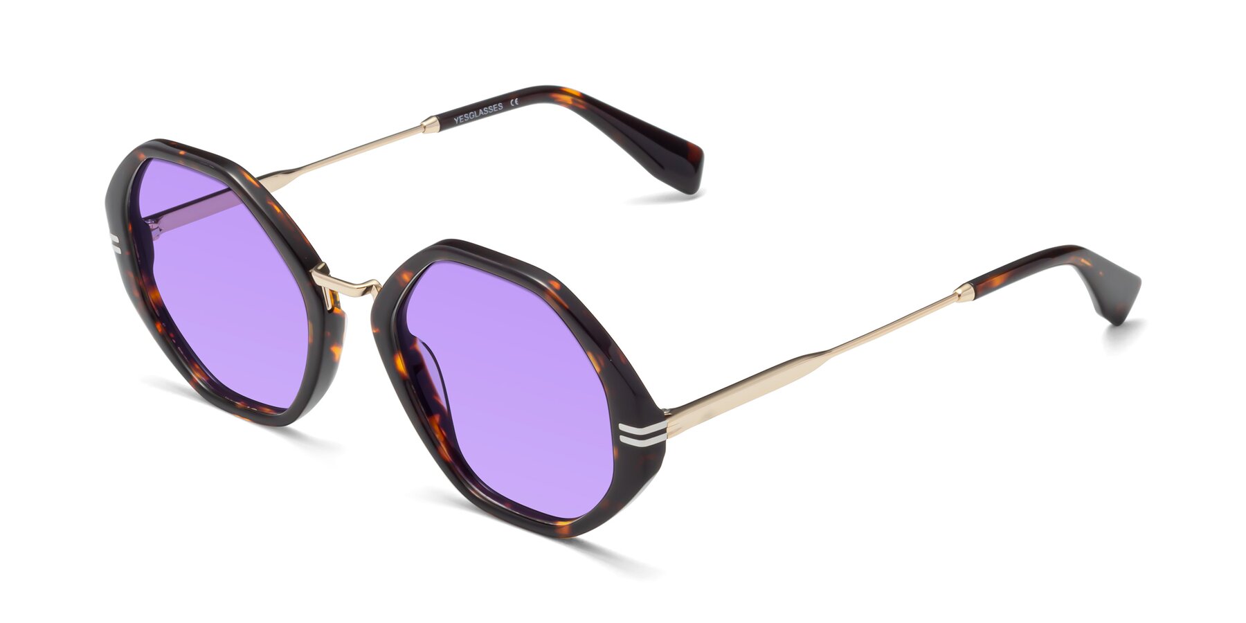 Angle of 1573 in Tortoise with Medium Purple Tinted Lenses