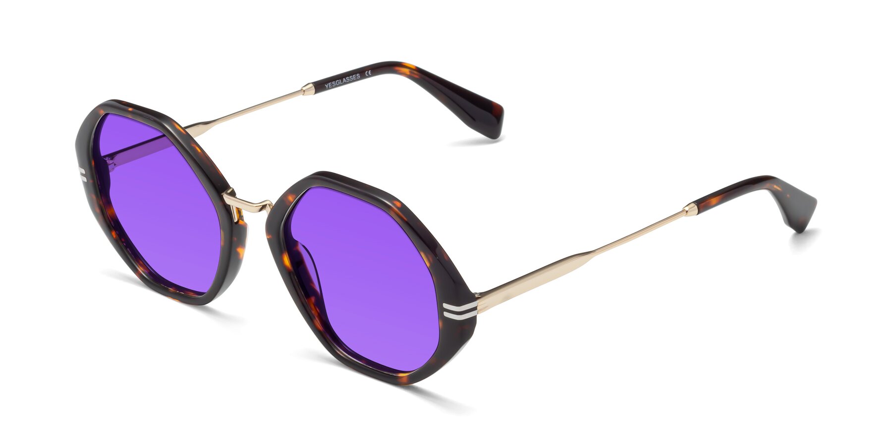 Angle of 1573 in Tortoise with Purple Tinted Lenses