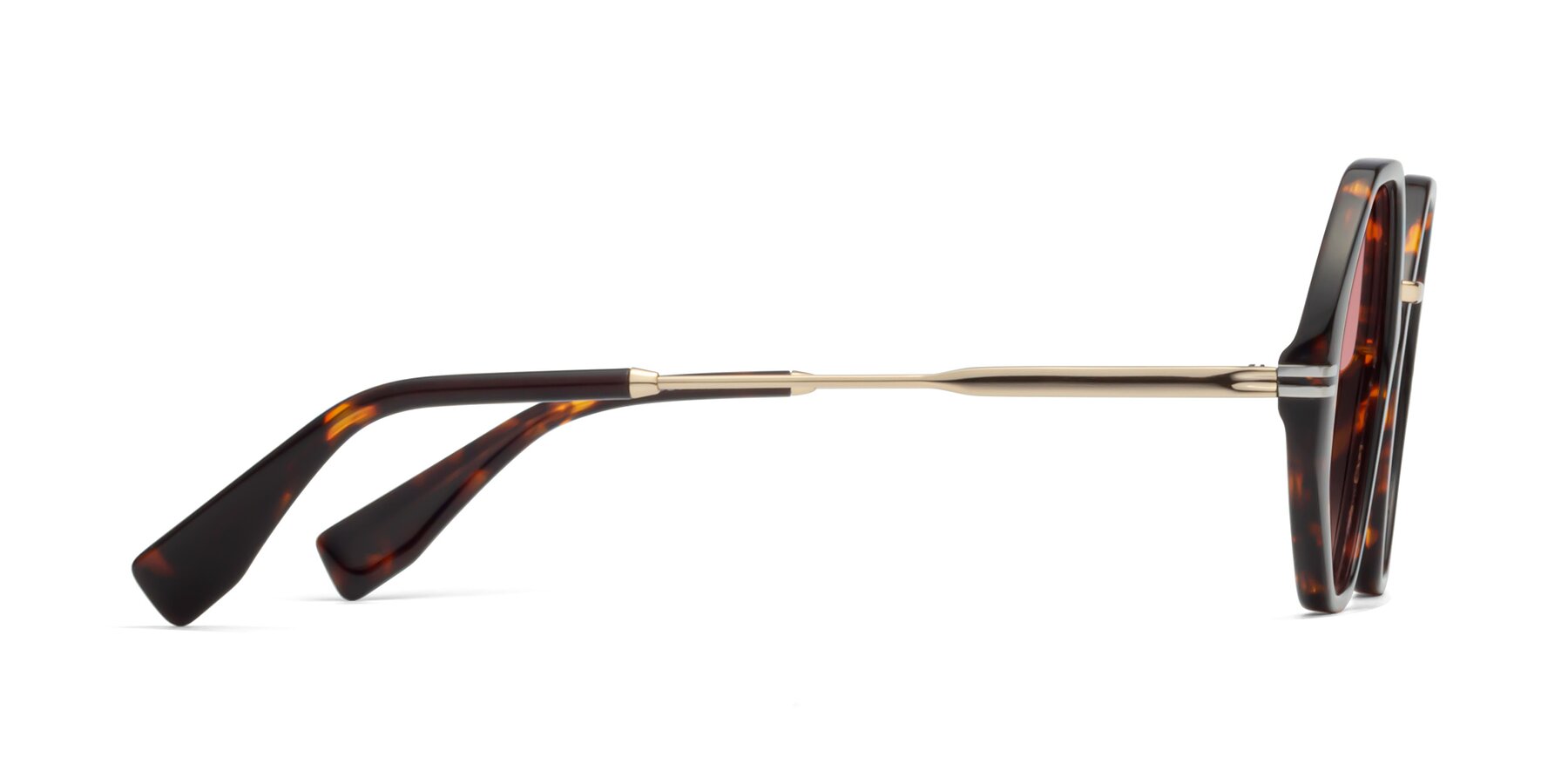 Side of 1573 in Tortoise with Medium Garnet Tinted Lenses