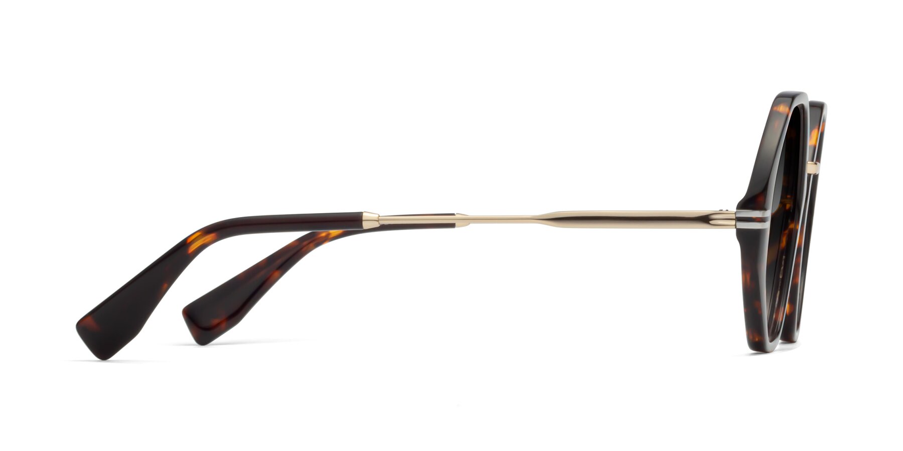 Side of 1573 in Tortoise with Gray Gradient Lenses