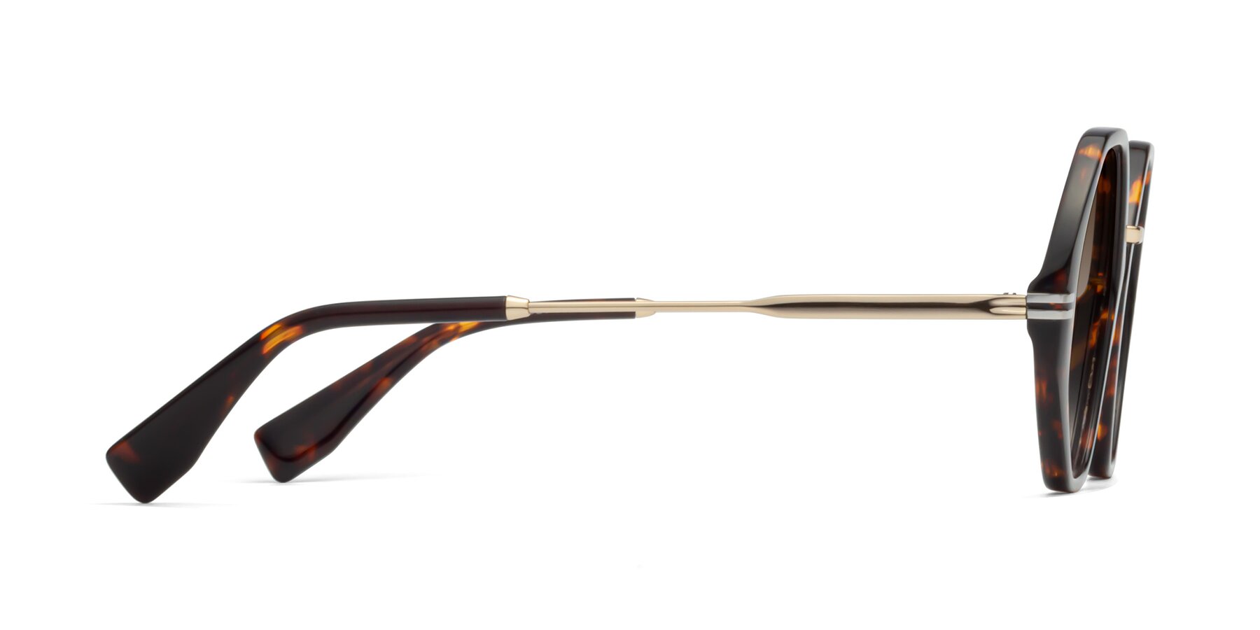Side of 1573 in Tortoise with Brown Gradient Lenses