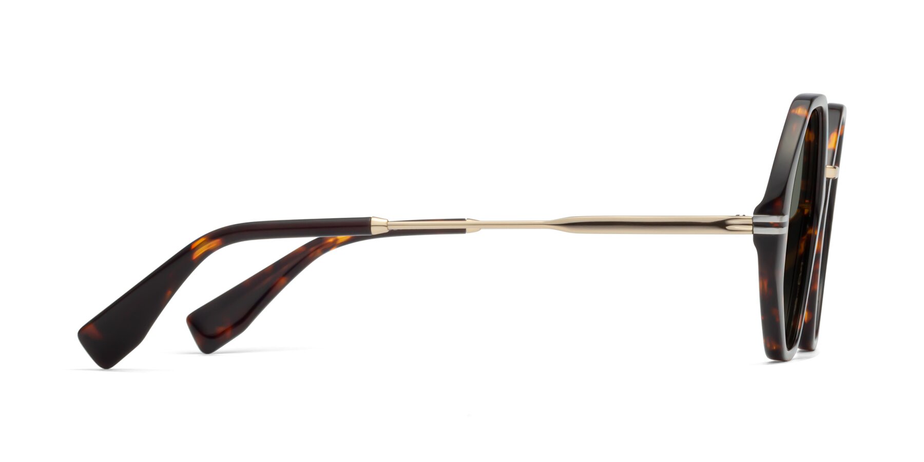 Side of 1573 in Tortoise with Gray Polarized Lenses