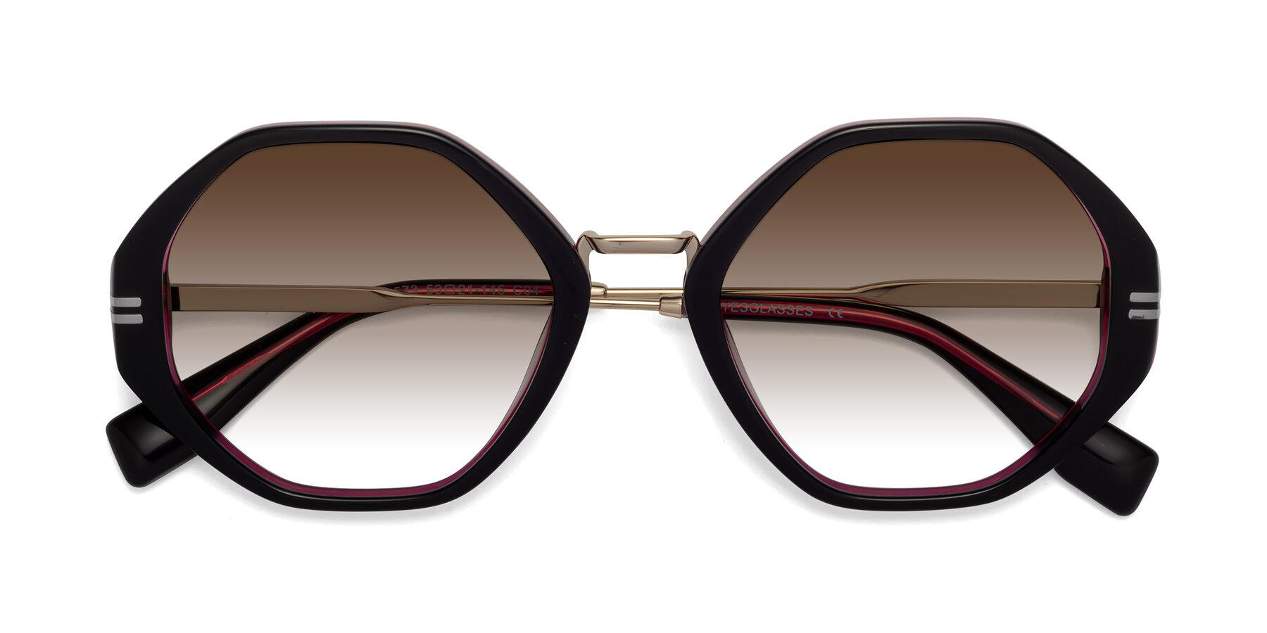 Folded Front of 1573 in Black-Wine with Brown Gradient Lenses