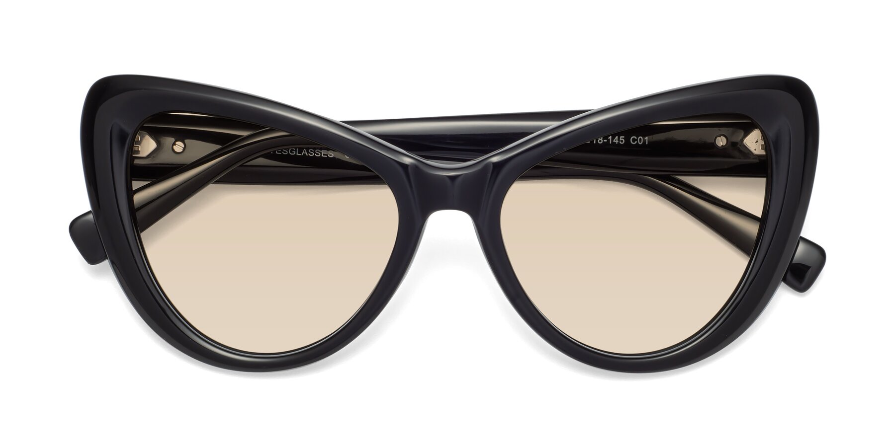 Folded Front of 1574 in Black with Light Brown Tinted Lenses
